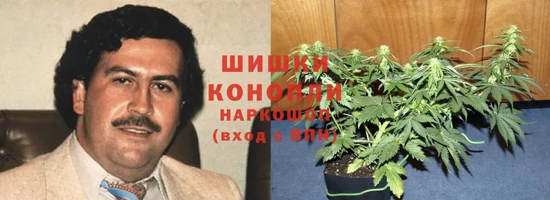 закладки  Калязин  Каннабис VHQ 